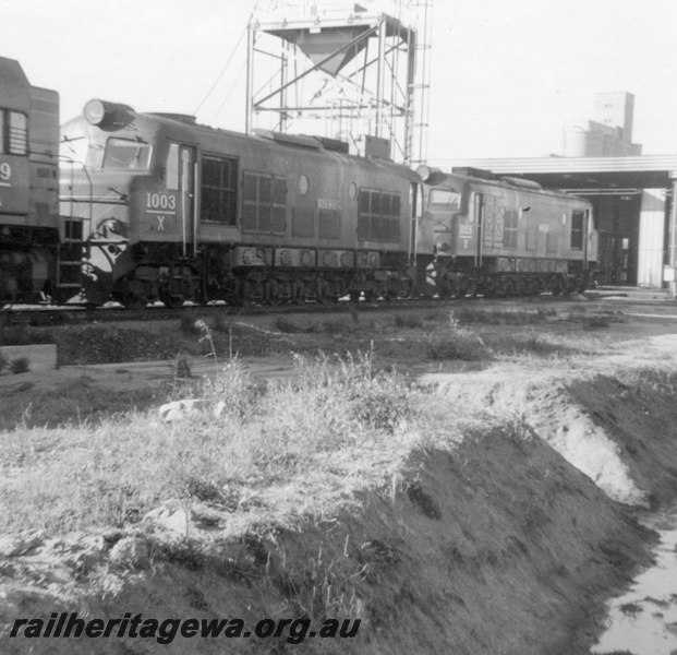 P21840
X class 1003, X class 1026, on shed, tower, wheat silo, West Merredin, EGR line, end and side view
