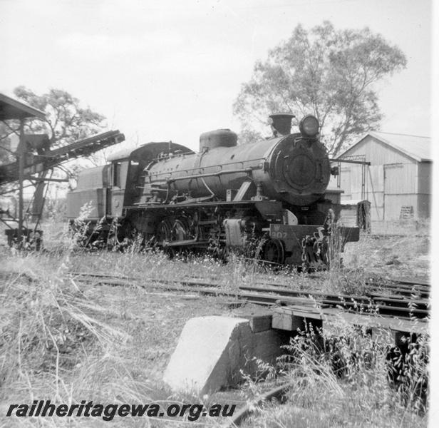 P21853
W class 907, at coaling stage, conveyor, shed, turntable abutment, Boyup Brook, DK line, side and front view
