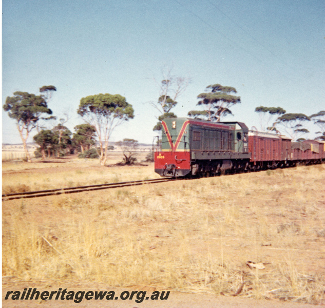 P21860
A class 1505, on goods train, approaching Merredin, NKM line, front and side view
