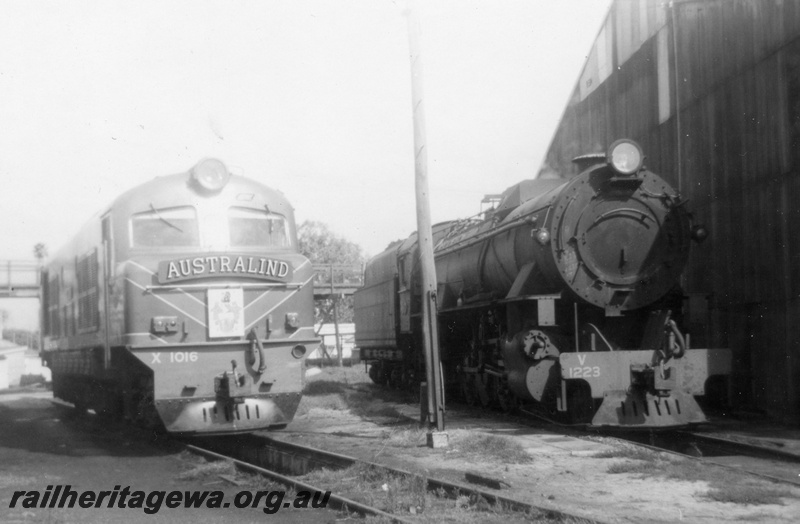 P21865
X class 1016 with Australind