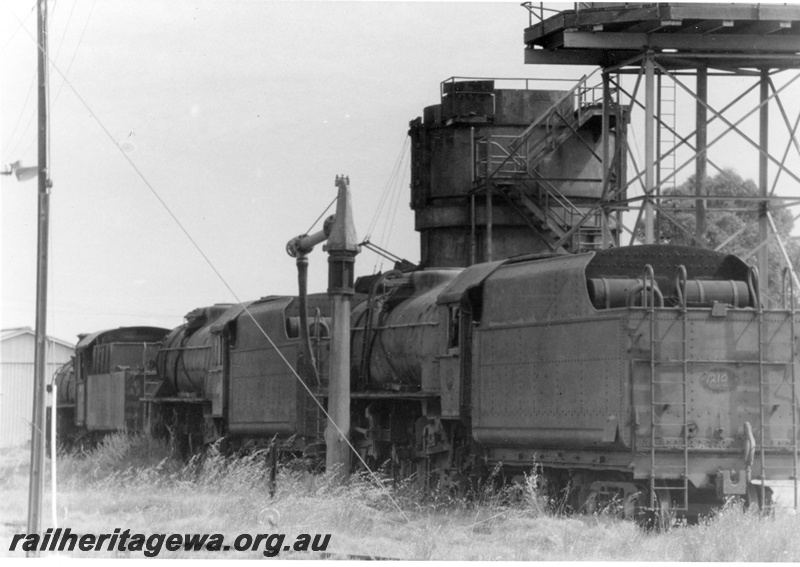 P21886
V class 1210, another V class loco, another steam loco, water column, coal stage, tower, at loco depot, Midland, ER line, side and rear views
