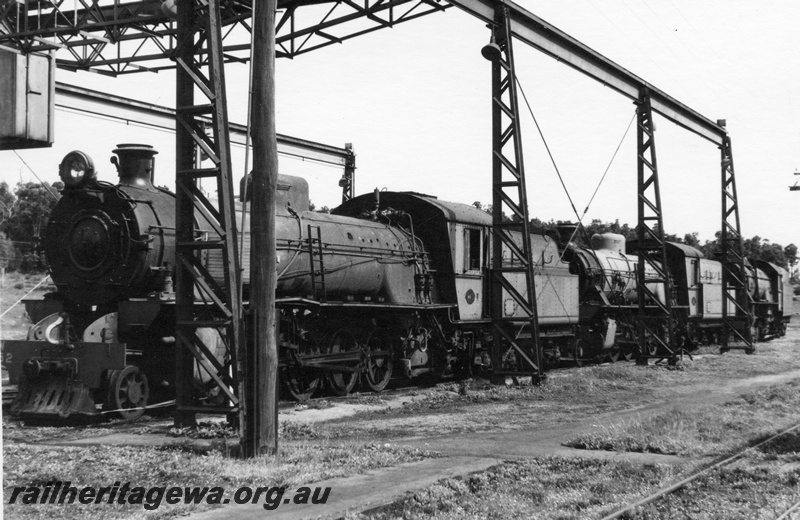 P21899
W class 952, w class 920, v class 1207, on scrap road, gantry crane, loco depot, Collie, BN line, front and side views
