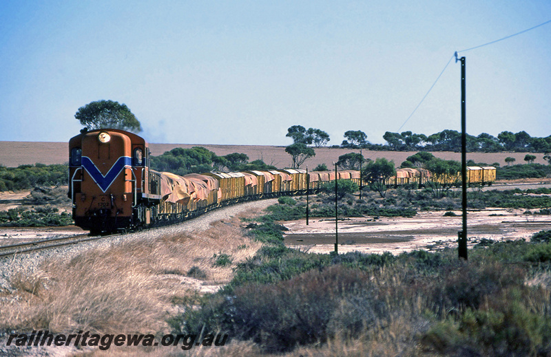 P21975
C class 1702, on goods train, Yerecoin, CM line, front and side view
