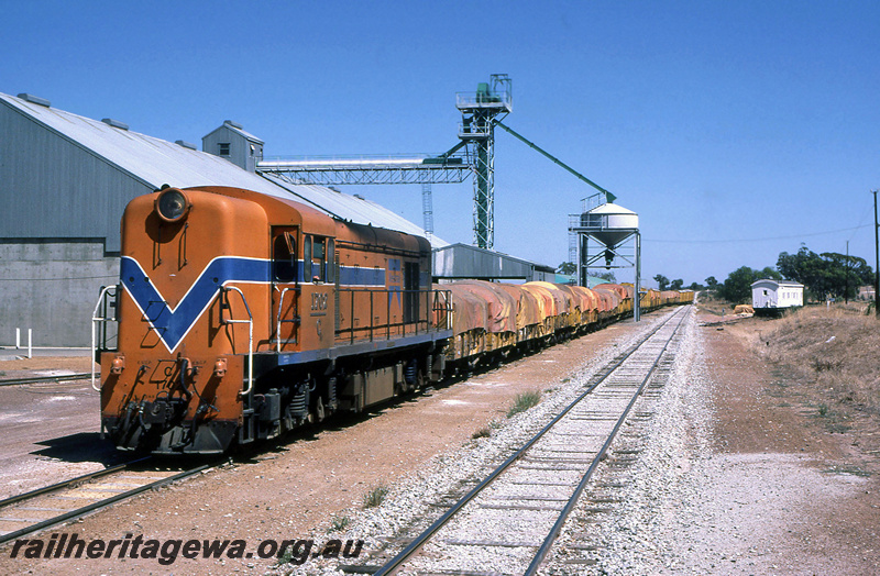 P21976
C class 1702, on goods train, loading wheat, wheat bin, conveyor and overhead loader, white VW class wagon on slewed track, Calingiri, CM line, front and side view
