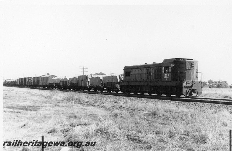 P21977
A class 1502 on a goods train approaching Merredin from Narembeen, NKM line, view along the train
