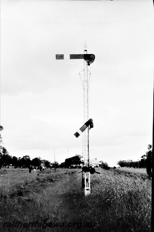 P22084
MRWA home signal Mogumber. MR line.
