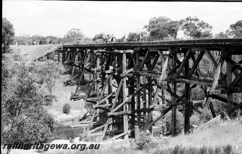 P22091
Mogumber - wooden trestle bridge over Moore River. MR line. 
