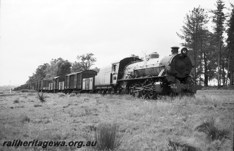 P22101
W class 956 goods near Wagerup. SWR line.
