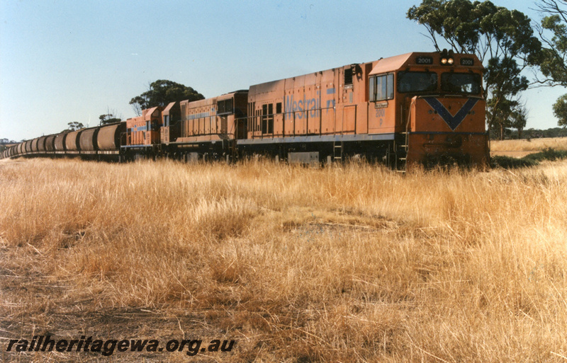 P22183
P class 2001, with DA class and AB class locos, triple heading wheat train, comprising XW class wagons, arriving Wyalkatchem, GM line, side and front view
