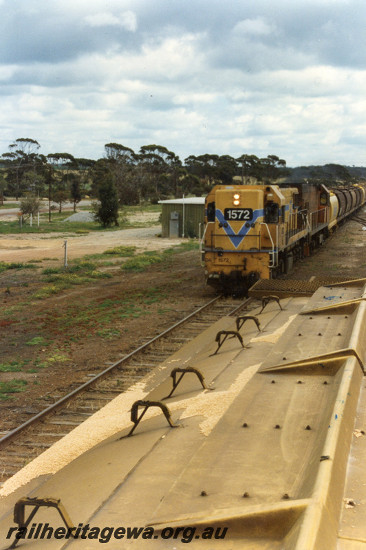 P22185
DA class 1572, with large number on nose, and P class loco, double heading wheat train, trackside building, close up of top of XW class wagon in foreground, front and side view, Wyalkatchem, GM line, c1999
