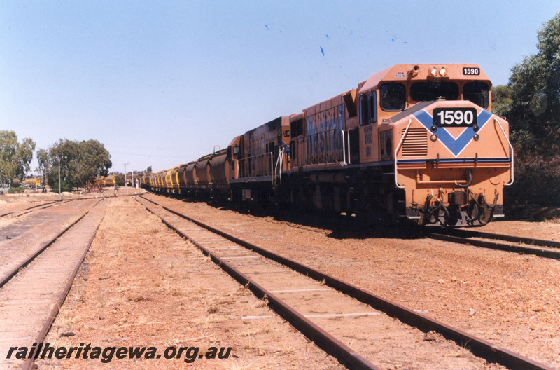 P22186
DB class 1590, with P class loco, double heading wheat train comprising XW class wagons and XU class wagons, sidings, yard, ballast piles, Wyalkatchem, GM line, side and front view
