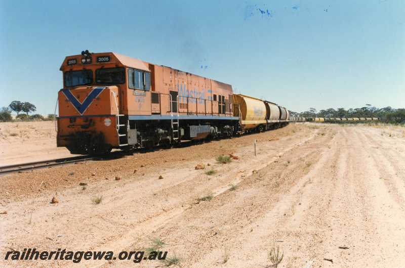 P22193
P class 2005 on wheat train comprising XW class wagons and XU class wagons, near Wyalkatchem, GM line, front and side view, c1999
