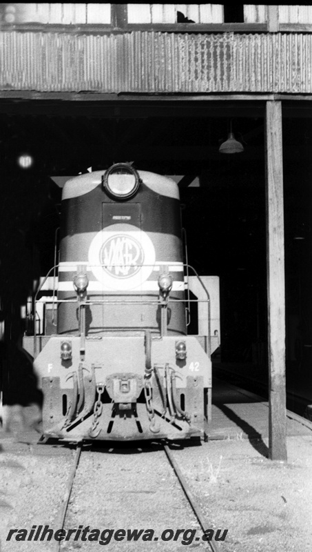P22273
F class 42 head on photo.Loco has WAGR logo on front of locomotive.
