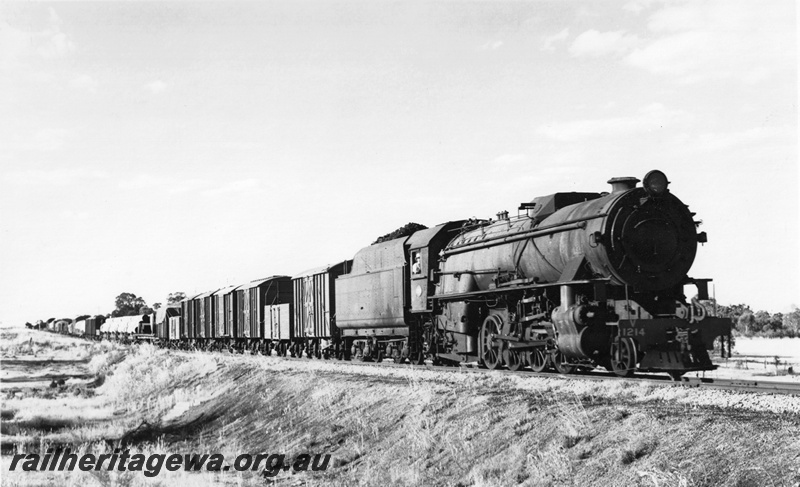 P22525
V Class 1214 on goods train, unknown location
