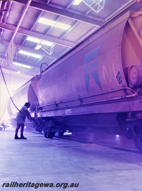 P22572
XW class wheat hoppers, unloading inside shed, worker, side and end view
