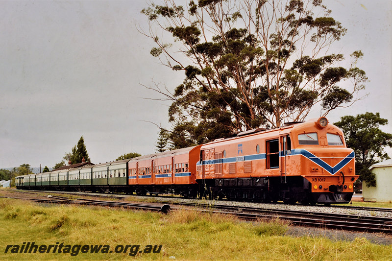 P22584
XB class 1017 in Westrail livery of orange with blue and white stripes, on the 