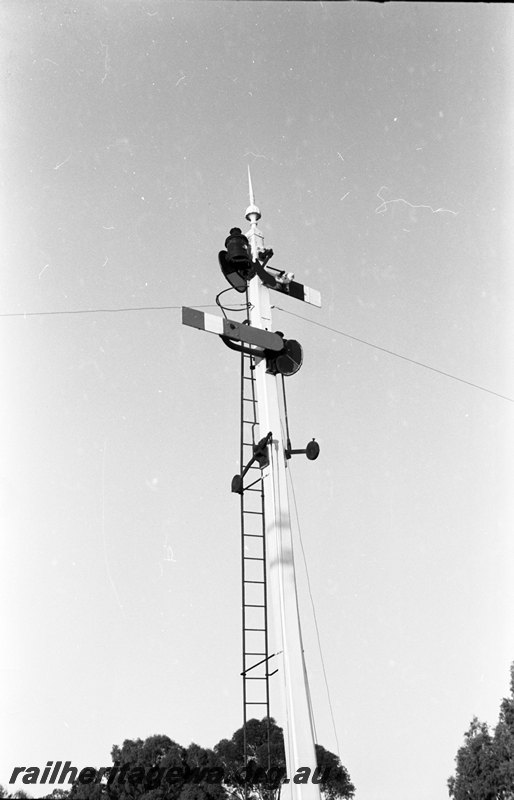 P22596
Home and Starter signals , Toodyay. CM line  
