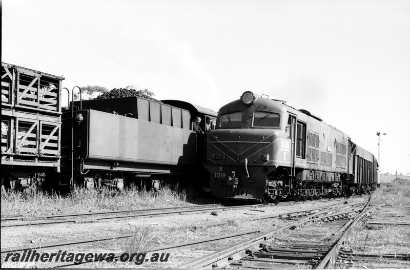 P22599
X class 1019 