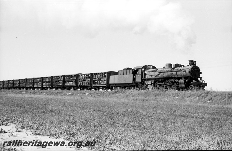 P22601
Pm class 713 hauling akru special stock train near Meenaar. EGR line.
