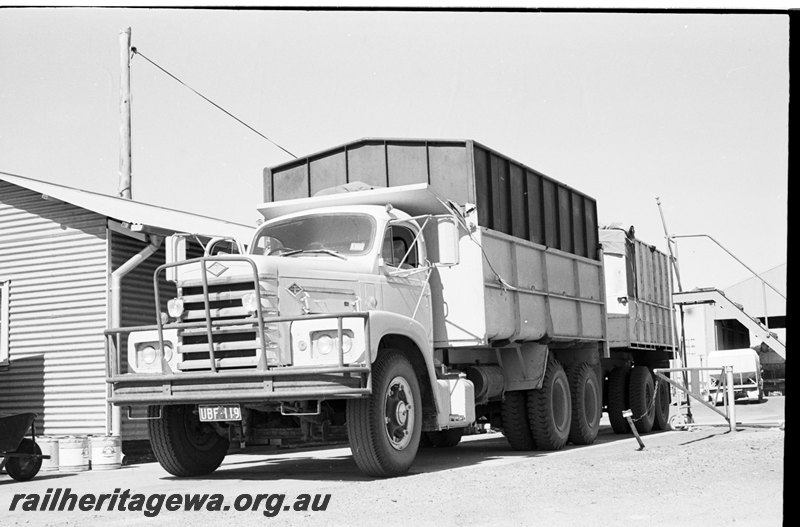 P22618
Ford Diamond T wheat truck unloading at CBH Tammin. EGR line.

