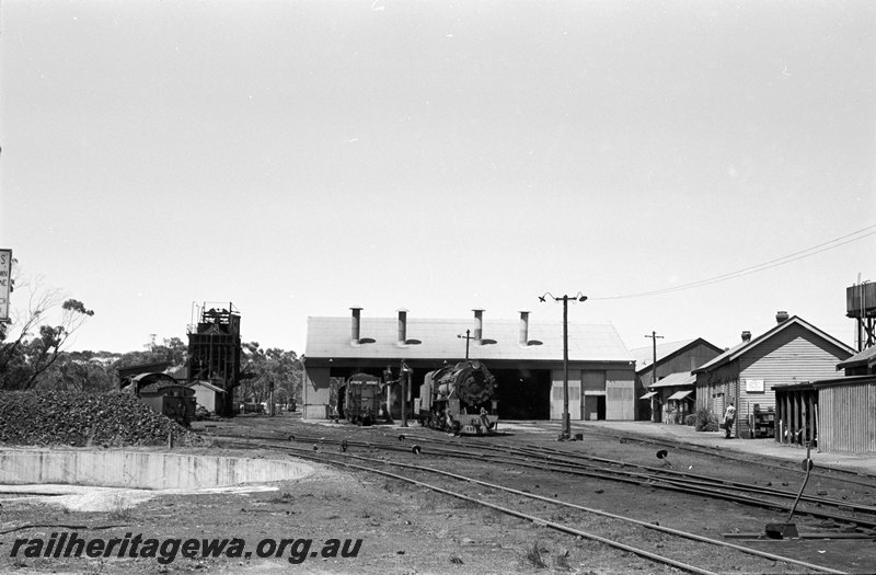 P22623
Narrogin locomotive depot. GSR line.
