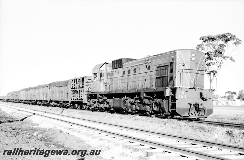 P22627
A class 1511 hauling No 92 up goods from Yellowdine arriving Merredin. EGR line
