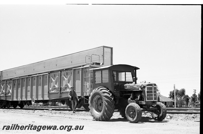 P22631
International Tractor shunting Standard gauge wagons with tow rope at Tammin. EGR line.

