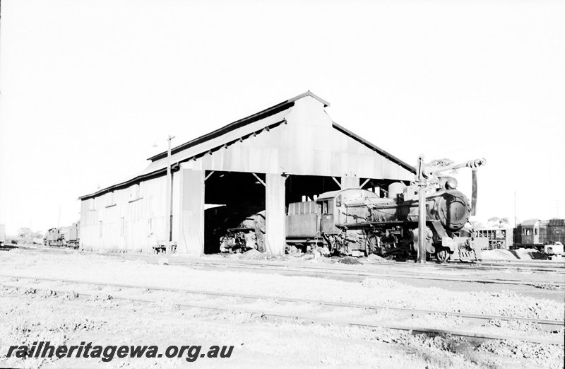 P22640
Merredin loco Pm class 708,  A class 1511. EGR line.
