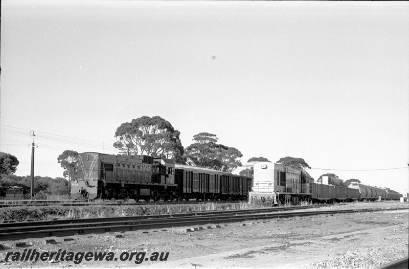 P22676
A class1508  on goods passing  K class 201 at Tammin. EGR line.    
