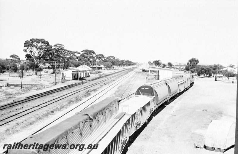 P22687
K class 205 hauling an up wheat train at Tammin. EGR line.
