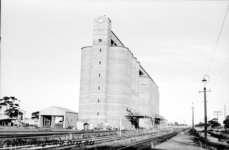 P22706
New standard gauge grain silo Tammin. EGR line.
