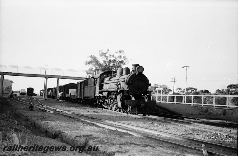 P22739
P class 507 19 goods leaving Pingelly for Narrogin. GSR line.
