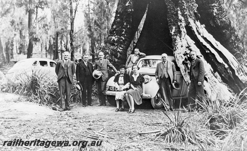 P22790
Group photo of Perth Transport Board, on tour of inspection in connection with proposed closure of Denmark-Nornalup Railway, posing in front of two cars one of which is standing inside the trunk of a large karri tree. Left to right: L. Hill MLA, R. Millen (Chair), Hon T. Bath (Member), Mrs R. Millen, J. Rathbone (Inspector), Miss E. Scholfield (Stenographer), J. Hawkins (Member), W. Howard (Secretary)
