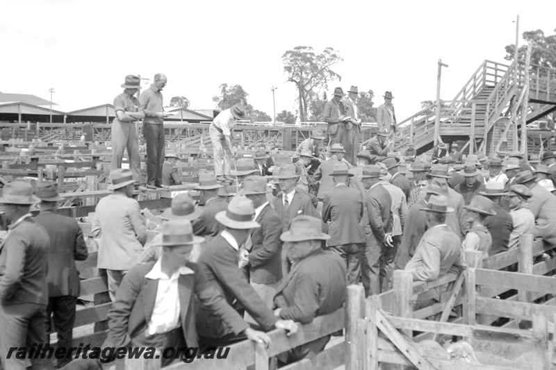 P23166
Sale yards, in operation, bidders, overhead footbridge, Midland Junction, ER line, ground level view
