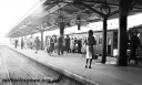 Filename=P23313.jpg
Filesize=177KiB
Dimensions=800x483
Date added=Aug 21, 2024 P23313.jpg