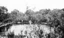 Filename=P23499.jpg
Filesize=219KiB
Dimensions=800x479
Date added=Nov 30, 2024 P23499.jpg