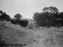 P23603.jpg