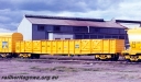 P23703.jpg