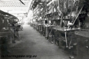 P23799.jpg