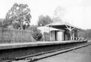 P23943.jpg