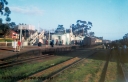 P24000.jpg