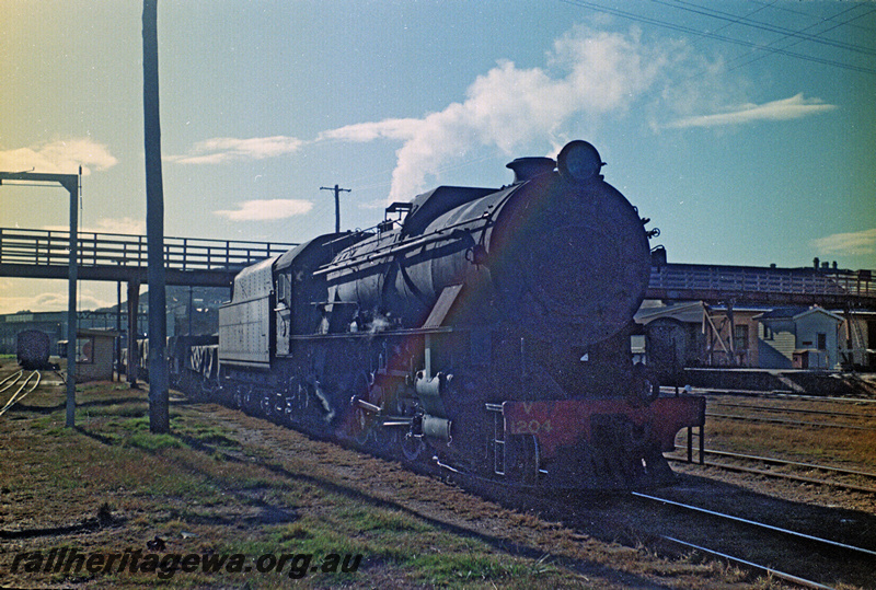 P24182
V class 1204, on goods train, overhead bridge, Albany, GSR line, side and front view
