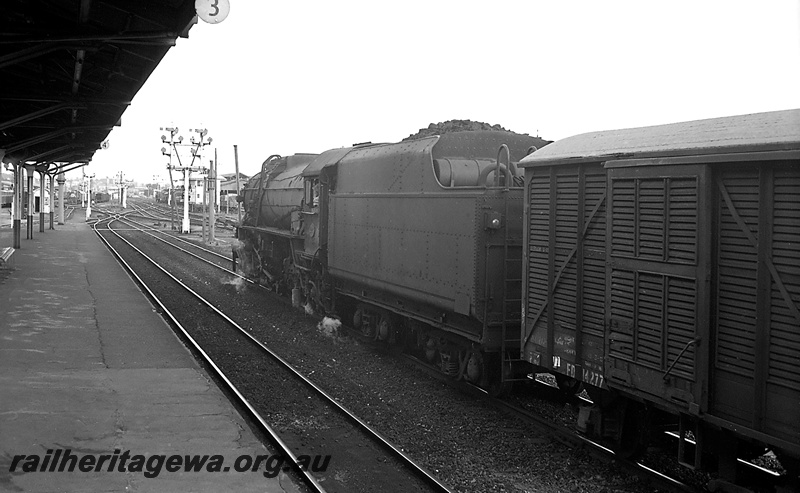 P24222
V class 1221 on goods train including FD class 14277, platform, canopy, signals, bracket signals, signal box, goods shed 1st class, Perth station, ER line, side and end rear view from platform
