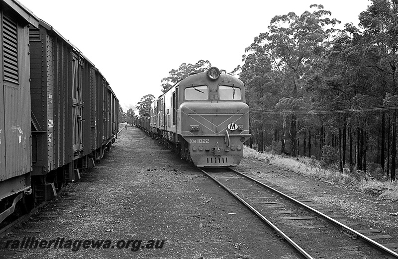 P24238
XB class 1022, on goods train, rake of vans on adjacent siding, railway employees, Pemberton, PP line, side and front view
