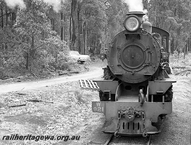 P24239
W class 921, motor vehicle, bush setting, Jardee, PP line, front view from track level
