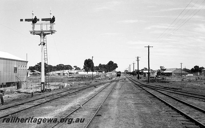 P24260
Long view of station and yard, bracket signal, wagons, tracks, sidings, trackside buildings, shops, Lake Grace, WLG line, view from track level looking through the yard and station
