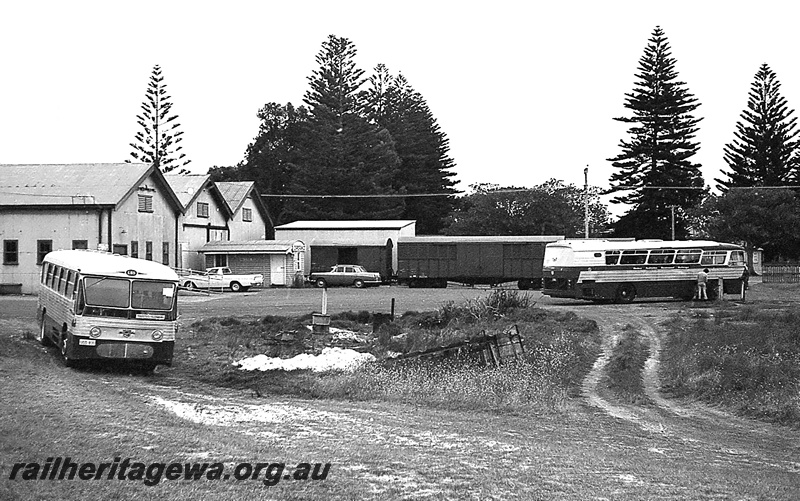 P24262
Goods shed 1st class, vans, cars, buses, Norfolk Island pines, Esperance, CE line, view from ground level 
