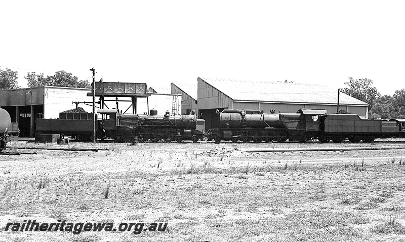 P24271
PM class 704, S class 546, roundhouse, goods shed 3rd class, water tower with Braithwaite water tank, Collie, BN line, side views from ground level
