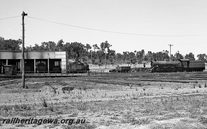 P24274
W class locomotive, other steam locomotives, wagon, turntable, roundhouse, loco depot, Collie, BN line, front and side view
