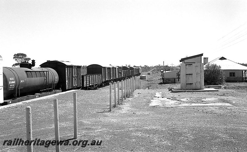 P24281
XB class 1027, on mixed train to Leonora, departing Kalgoorlie, adjacent house, KL line, rear and side view

